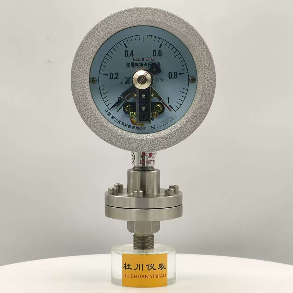 上海聯(lián)力防爆電接點(diǎn)壓力表YTX100B，1mpa，絲扣隔膜，M20x1.5.jpg
